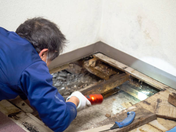 Best Crawl Space Mold Removal  in Glenwood Landing, NY